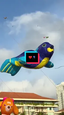 Colombo international kite festival  ♥️🪁😍 #fyppppppppppppppppppppppp #viral #trending ♥️😍🇱🇰