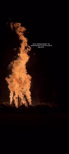 👍🏻