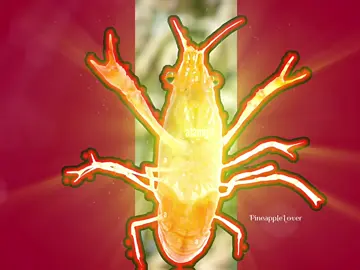 |Radioactive| 🦐🦐🦐🦐🦐🦐🦐🦐🦐🦐🦐🦐🦐🦐🦐🦐🦐🦐🦐🦐🦐🦐🦐🦐🦐🦐🦐🦐 #radioactive #walmart #shrimp #joke #edit  @☮︎  ib:  @⦻drealX edits⦻ 