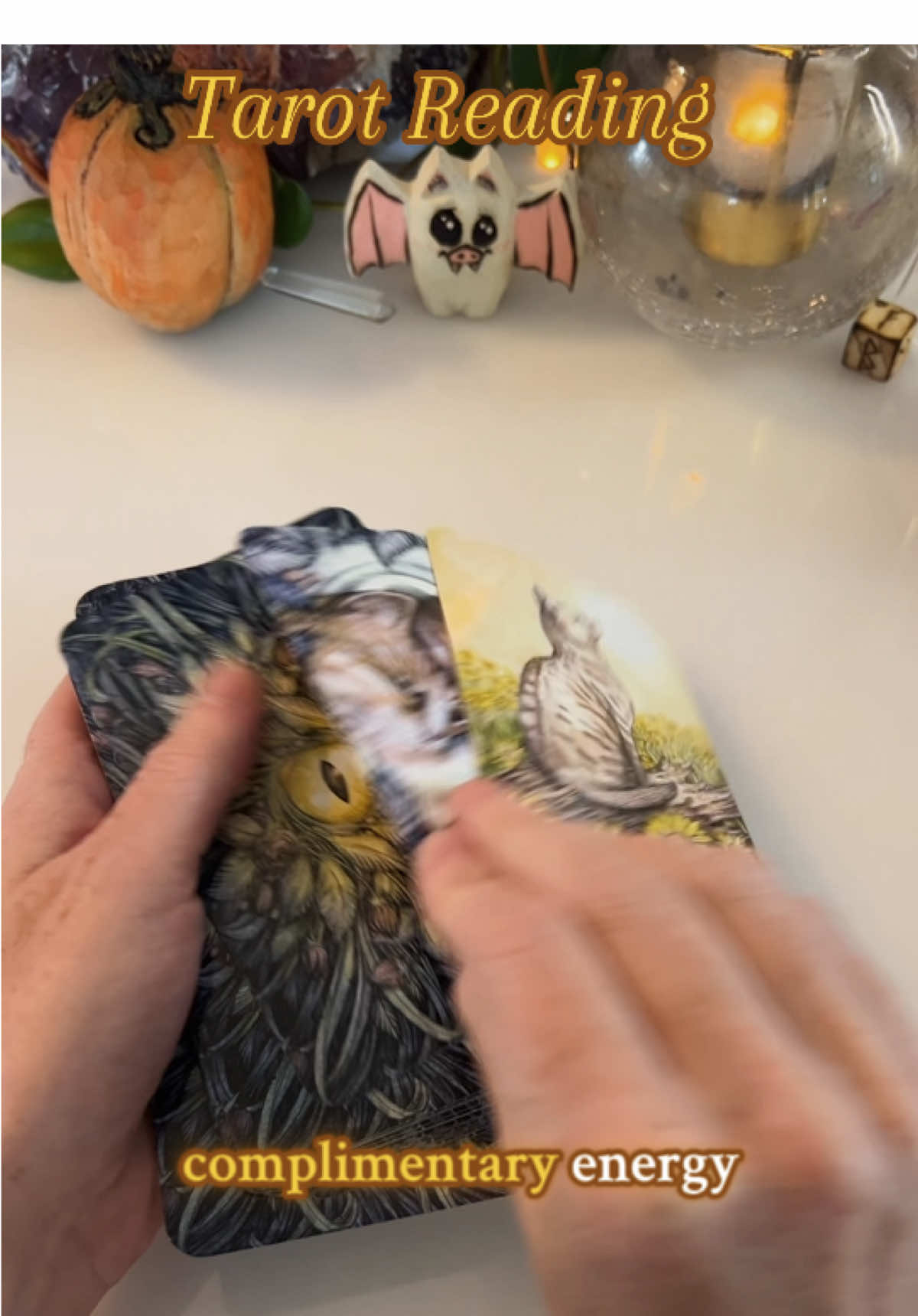 Tarot reading for you! #tarot #tarotreading #tarotreader #tarotcards #spirituality 