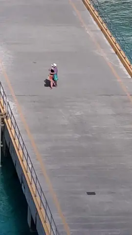 #carnivalmagic #runner #late #fall  #funnytiktok 