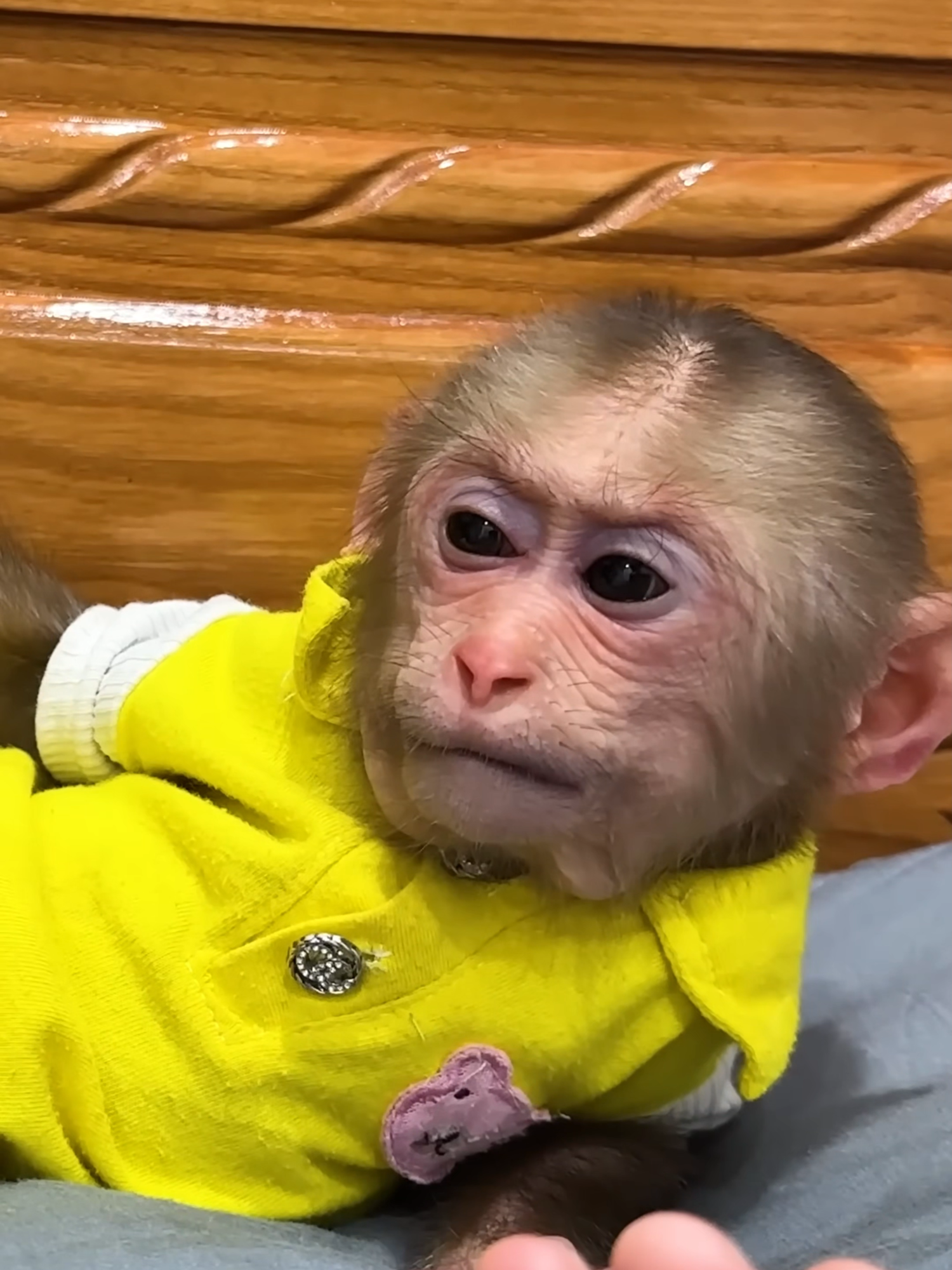 Lala was sad and angry when Mom didn't let her go to the market!#PE03