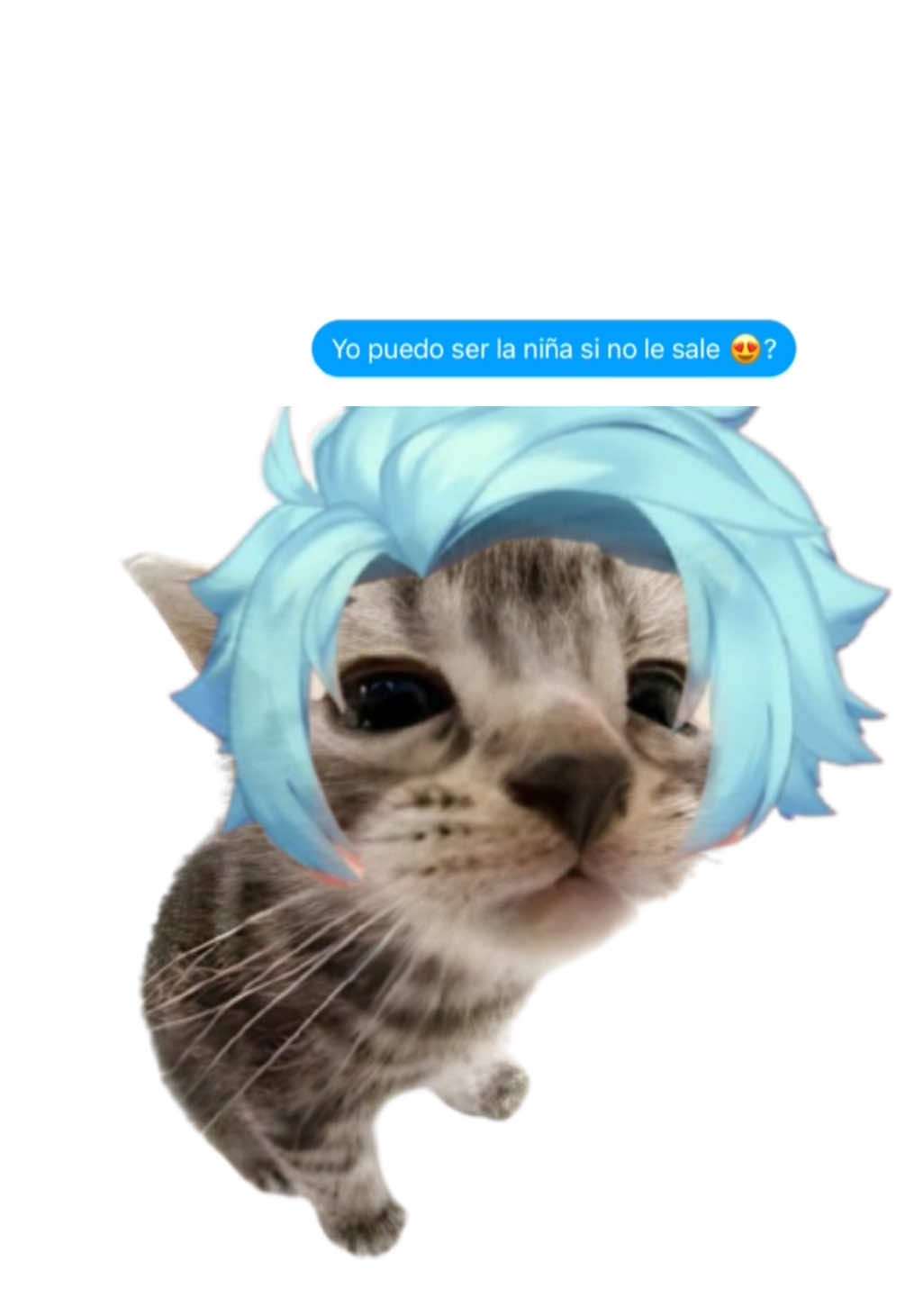 En mi mente solo está este fragmento #aldoxito #edit #catmeme 