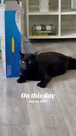 #onthisday 