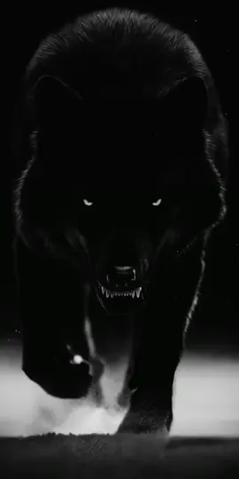 🕸🐺🕸