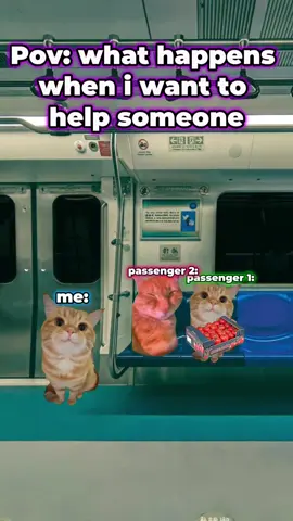 #catmeme #cat #meme 