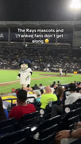 This was so funny 😭 #yankees #newyorkyankees #baseball #rays #nyyankees 