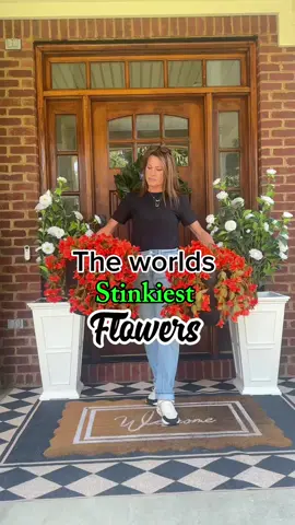 Stinky flowers but not gonna lie, they are beautiful! linked in my LTK. #fauxflowers #fallflowers #falldecor #fallaesthetic 