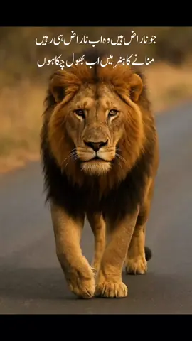 #loinwalking#tik_tok# loin walking 