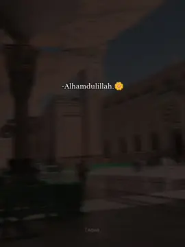 Alhamdulillah .🖤🌼 #taqwa_🌸 #islamic_video  #islamicreminder #growmyaccount  #মায়াজাল_bd 