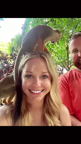 Just monkey-ing around. 🐒 #hooneymoon 