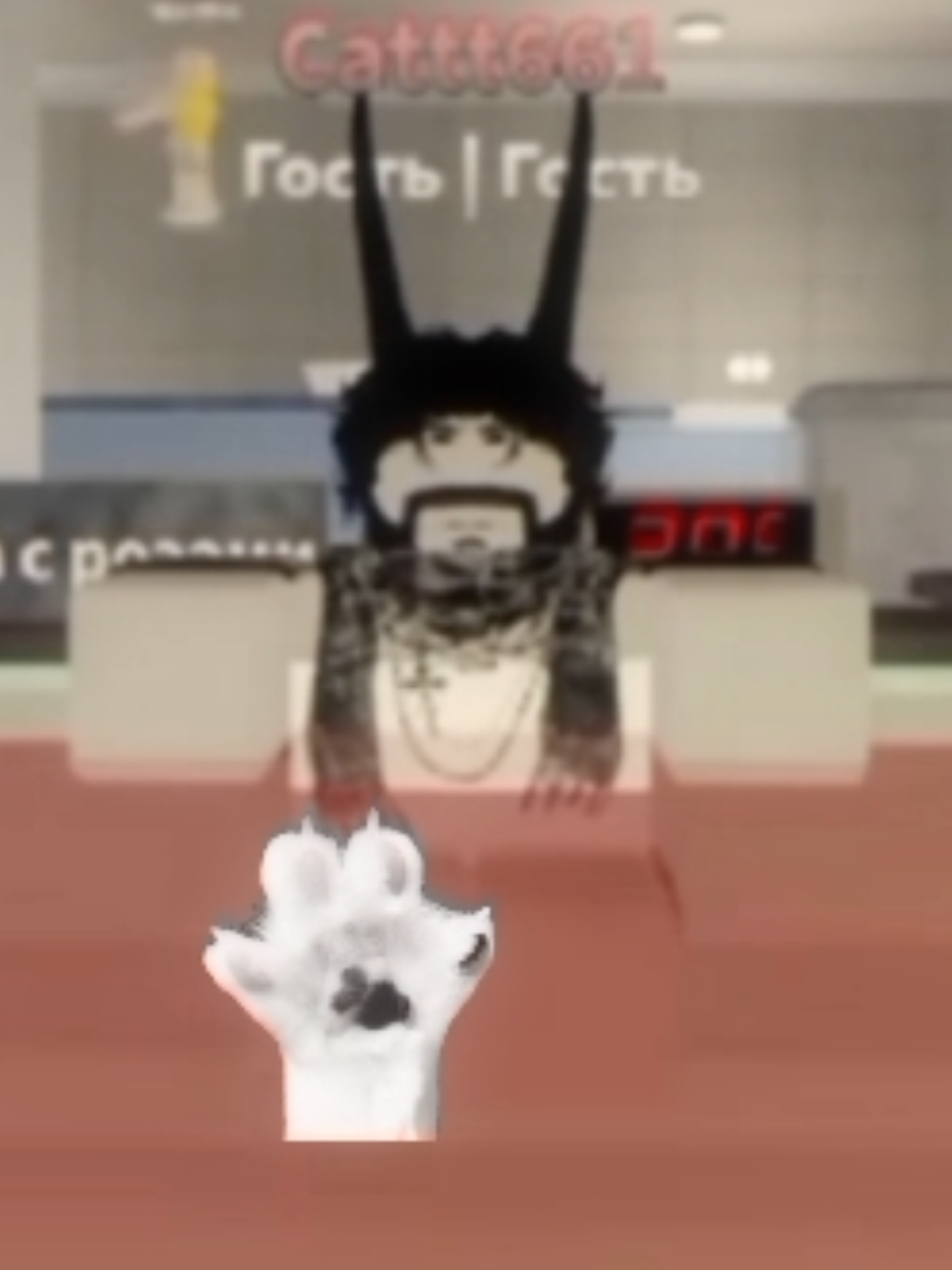 #cats #shorts #danyakashin #cmn #wow #дэндисвролд #понитаун #мистика #eddsworld #кокакола #2025 #банянеохи #роблокс 
