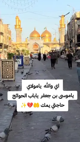 #ياموسى_بن_جعفر_اقضي_حاجة_كل_محتاج 