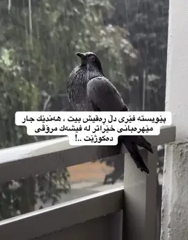 #d_shex #foryoupage #explore 