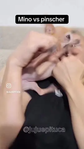 Mino mi ha staccato un dito 😖🥺😂