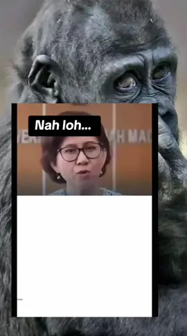 Nah loh.. #rektor #ugm #ijazah #palsu #jokowi