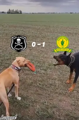 nothing beats a jet2 holiday #orlandopirates  #nzheleletiktoker #fyp #viraltiktok #sundowns 
