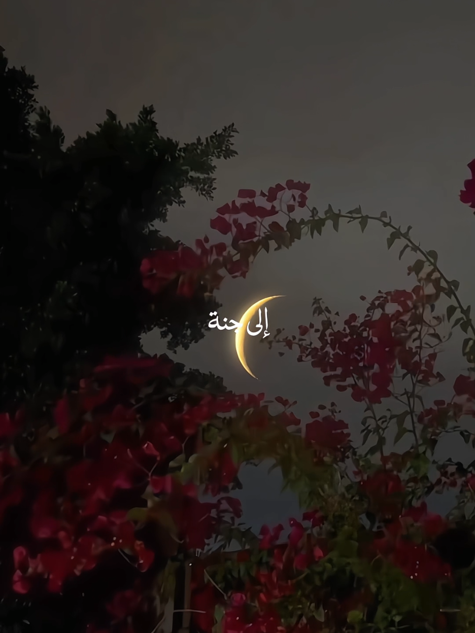 The beauty of Existence 🌷🙂💔 #32335 #nasheed #viral #fypシ 