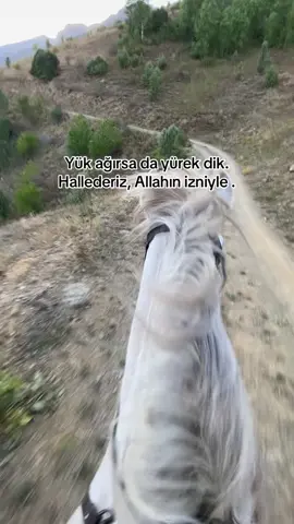 #keşfet #at #storytime #fyppppppppppppppppppppppp #hekimoğlu 