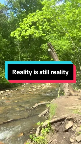 Reality doesn’t change. I have to assume one day they’re going to wake up, but it’ll be too late. #reality #fdt #trumpsupporters #trumpisadisgrace #fyp 