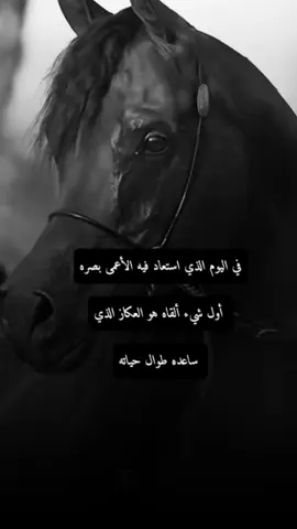 #اكسبلور #المهرة🐎#تصميمي #عبارات #اقتباسات_عبارات_خواطر 