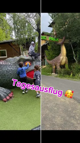 Wochenend Tagesausflug with Junior 🥰 #styressicpark #fyp #viral #🇦🇹🦁 #♌️♏️ 