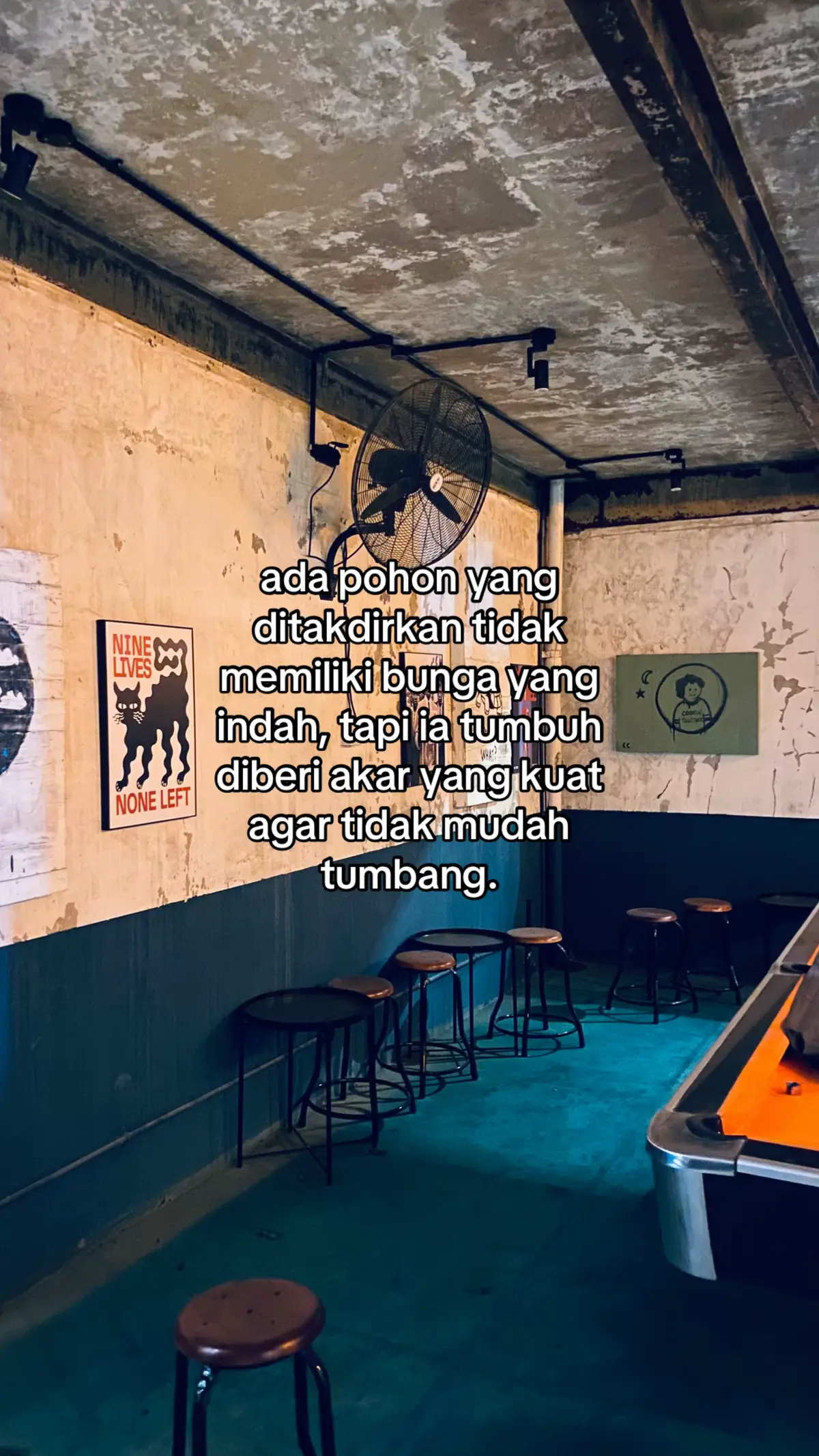 #xyzbca #fyp 