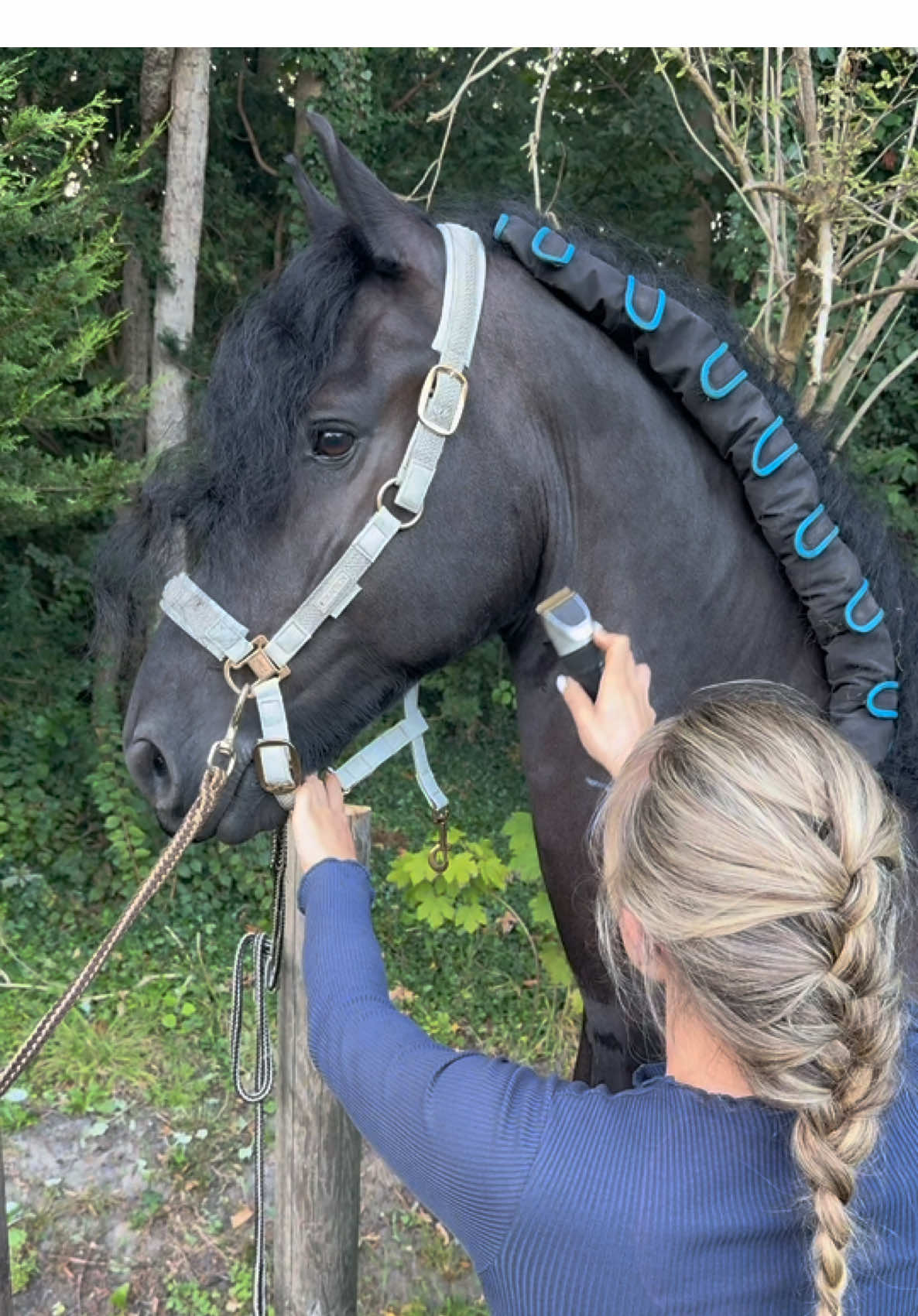 End of the week, so a new braid and the beard needs to be trimmed😂❤️ Do you want to see a stable vlog? @VosBrouwer @CowboyMagicEurope @Pikeur | Eskadron UK  #horsegirl #hair #hairtutorials #horsesoftiktok #friesianhorse #frisian #stallion #horseriding #tutorial #xyzxba #xyz 