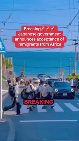 Japanese government announces acceptance of immigrants from Africa #japan #japannow #foreigner #immigration #breaking
