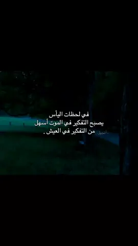 قناة التلي موجوده بالبايو . #أنجيل 