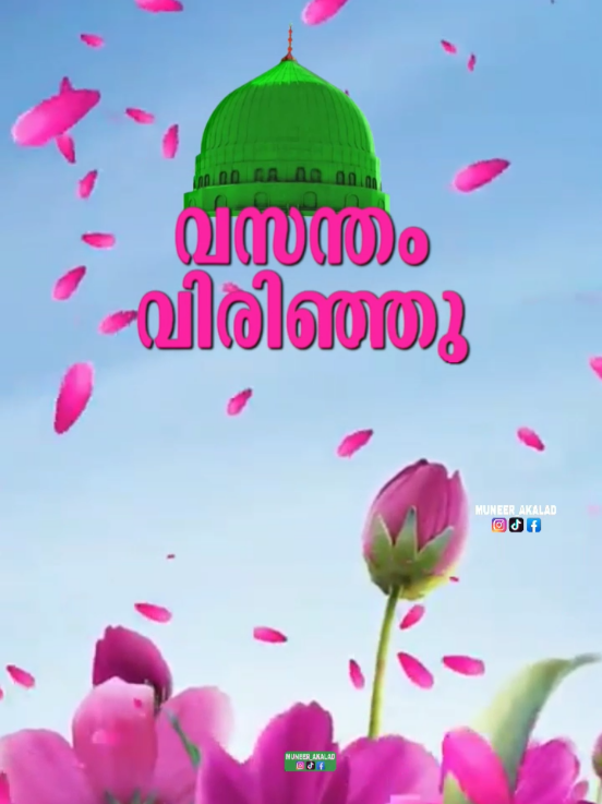 വസന്തം 💗