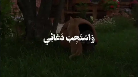 واستجب دعائي #دعاء #دعاء_الصباح #اباذر_الحلوجي #foryou #fyp 