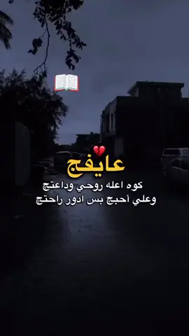 #شيفيد✨🕊️ 
