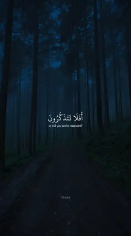 #قرآن_كريم_راحة_نفسية #اكتب_شئ_تؤجر_عليه #سورة_السجدة #بصوت_القارئ_عبد_الرحمن_مسعد 🖤🎧