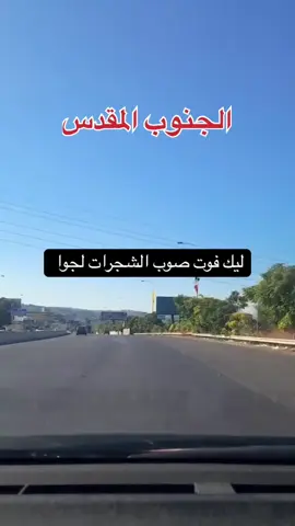 حرب ضروس أتعبتك زجرتها #الجنوب المقدس #ثبت #جذورك #بالتراب #أنت #باقي #ها #هنا 