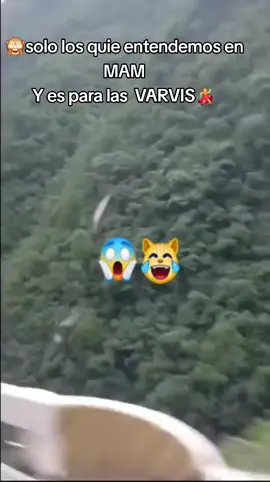 #video para tiiiiiii mensajes para las  barbisguevon🤣😆😁😄😃😀