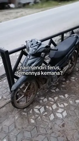 anjinkk kalian🤣🤣