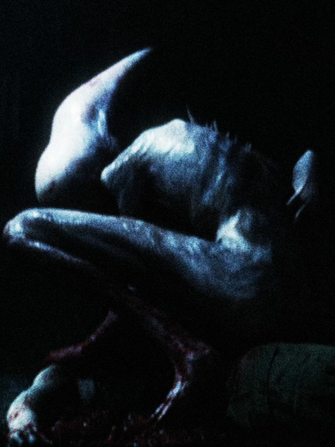 Creation. #alien #aliencovenant #xenomorph #xenomorphedit#prometheus #fyp #fypシ                  EVERYTHING IS FAKE
