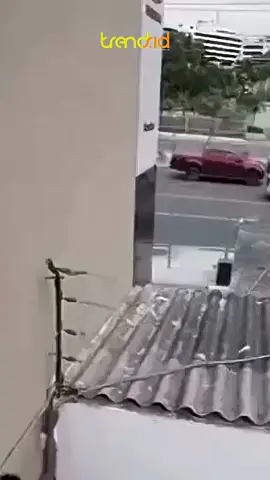 ##vidiolucu apes benar lah wahai bajing loncat, macam ga ada jalur lain sehingga jalur langit di tempuh 😂😂😂