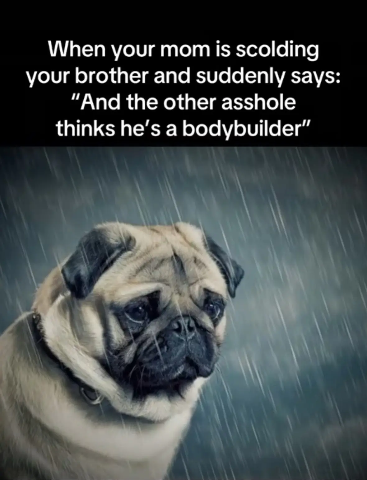 #xyzbca #foryoupage #gym #GymTok #trending #Meme 