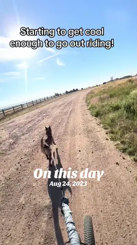 #onthisday 