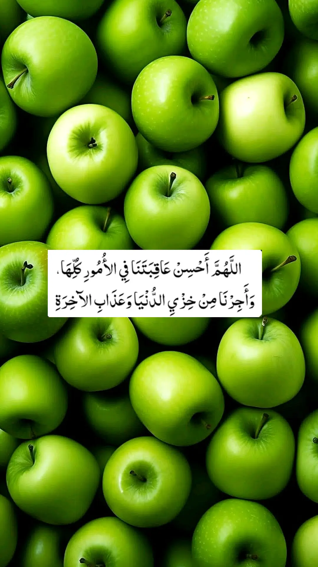 خدا اور اس کے فرشتے آپ ﷺ پر درود بھیجتے ہیں۔ اے 💯! ايمان والو 🖤.!! تم بھی ان  ﷺ پر درود و سلام بھیجو۔👇 اللَّهُمَّ صَلَّ عَلَى مُحَمَّدٍ وَ عَلَى آلِ مُحَمَّدٍ كَمَا صَلَّيْتَ عَلَى إِبْرَاهِيمَ وَعَلَى آلِ إِبْرَاهِيمَ إِنَّكَ حَمِيدٌ مَجِيدٌ .❤️ اللَّهُمَّ بَارِكْ عَلَى مُحَمَّدٍ وَ عَلَى آلِ مُحَمَّدٍ كَمَا بَارَكْتَ عَلَى إِبْرَاهِيمَ وَعَلَى آلِ إِبْرَاهِيمَ إِنَّكَ حَمِيدٌ  مَجِيدٌ ❤️ TIKTOK Aziz Afridi 086! Islamic videos  #islamabadbeautyofpakistan #Islamabad #islamicrepublicofpakistan #Pakistan #beautifuldestinations 
