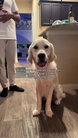 time is a thief 😭 #dogsbirthday #furmom #goldenretriever #goldenretrieverlife #furbabies 