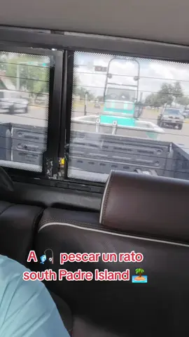 #yazybet 