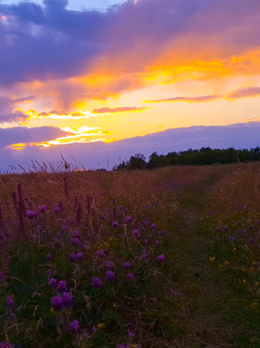 perfect place and beautiful sunset  #real #fypシ゚ #vibes #atmosphere #sunsetlover 