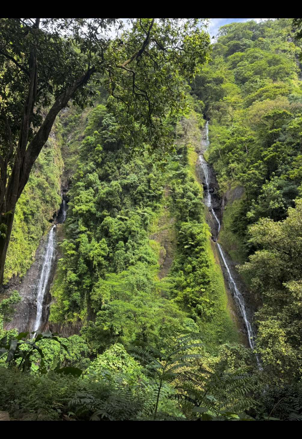 The best toilets in the world             #pourtoi #fyp #tahiti 
