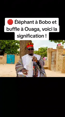 🛑 Éléphant à Bobo et buffle à Ouaga, voici la signification !