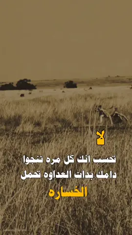 #عبارات #اكسبلورexplore #asmrsounds #عبارات_جميلة_وقويه😉🖤 