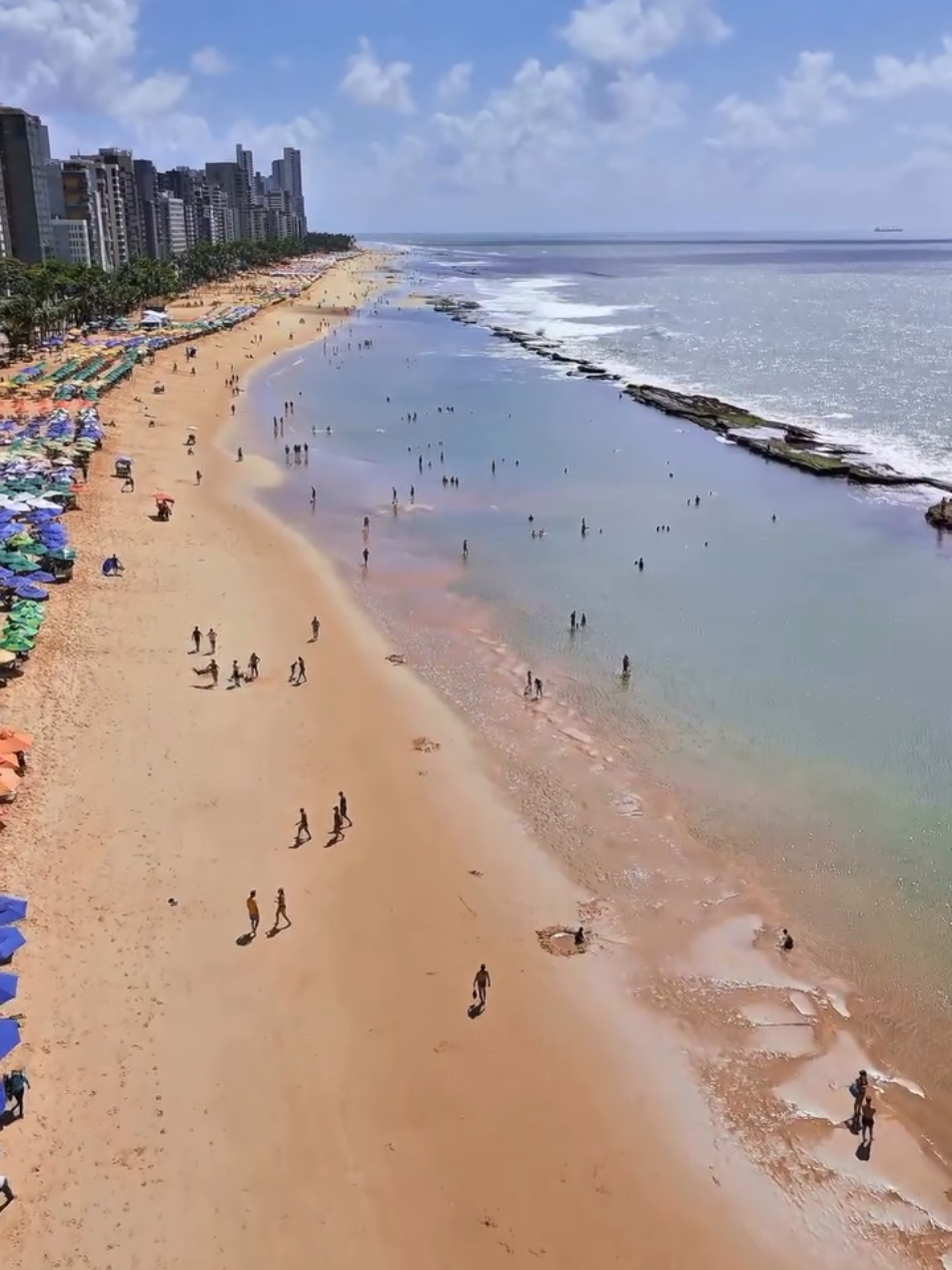Conhece Boa viagem? E linda ne #pernambuco #nordeste 