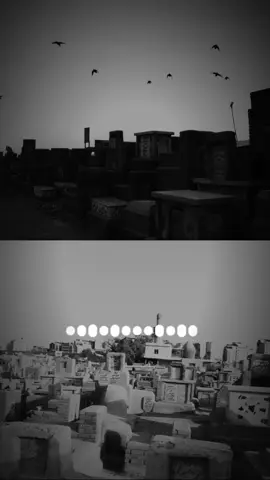 #سيدفاقدالموسوي #😭⚰️💔🖤🥀 